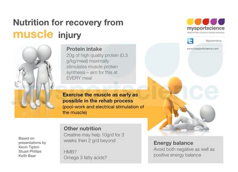 nutrition  recovery  muscle injury
