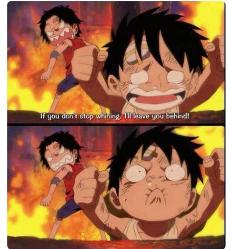 Pin By Paige Gallegos On One Piece One Piece Funny Ace And Luffy