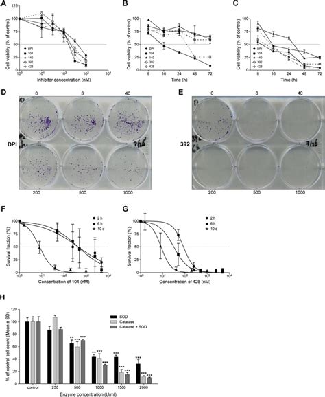 Dpi And Iodonium Analogs Inhibit Ht 29 Cell Proliferation And Colony Download Scientific