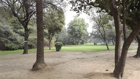 Delhi Zoo Celebrates Forests With Film Art And Trees