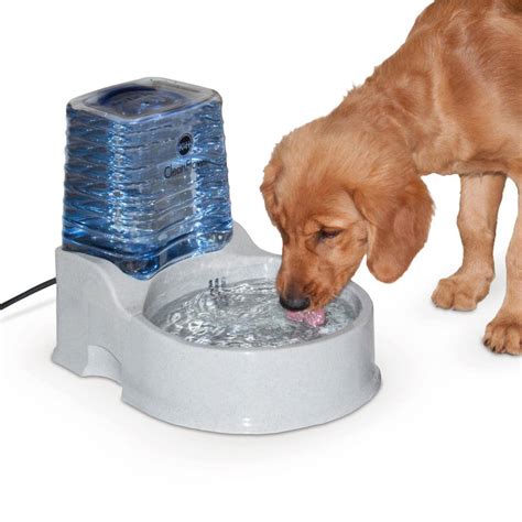 Kandh Cleanflow Filtered Water Bowl For Dogs — Kandh Pet Products