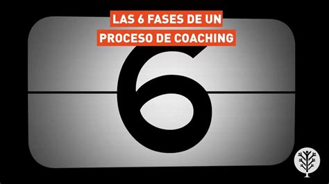 Las Fases De Un Proceso De Coaching Profesional Youtube