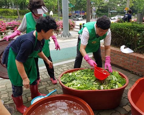 강남구의회 이관수 의장 사랑의 밑반찬 나눔 봉사 강남내일신문