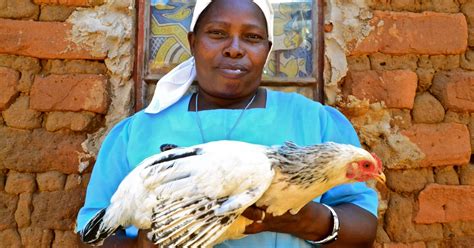 Climate Smart Knowledge Empowers Women Farmers In Kenya Ccafs Cgiar Research Program On