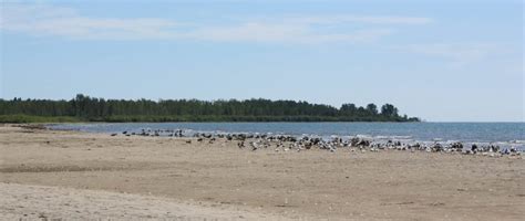 Exploring Presqu'ile Provincial Park with Kids • Wanderlust with Kids