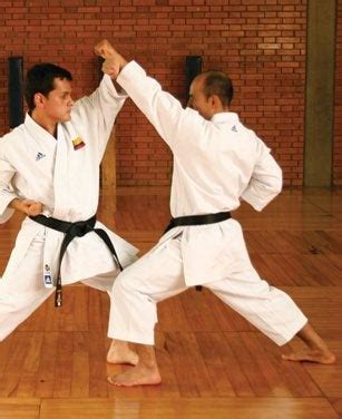 "Taekwondo/Karate" Blocks taught for Self-Defense... do these have any ...