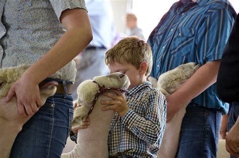 Wisconsin Sheep And Wool Festival Midwest Fiber Arts Trails