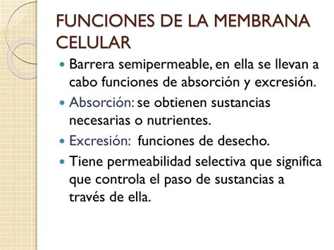 PPT FUNCIONES DE LA MEMBRANA CELULAR PowerPoint Presentation Free