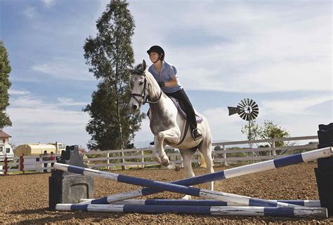 7 Popular Horse Show Jumps