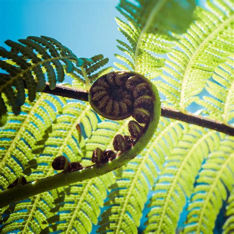 Members' lunch: A blueprint for change - 'Prescription for Prosperity