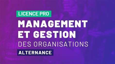 Licence Pro MGO Management Et Gestion Des Organisations En Alternance