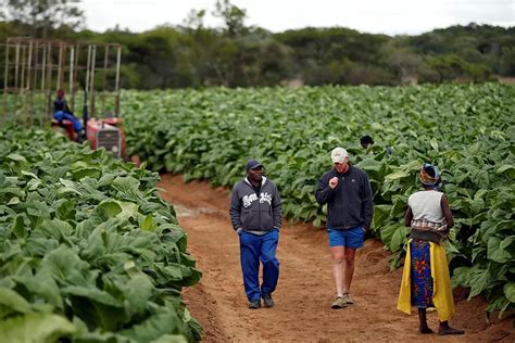 Recently Evicted White Farmer Gets His Land Back In Zimbabwe