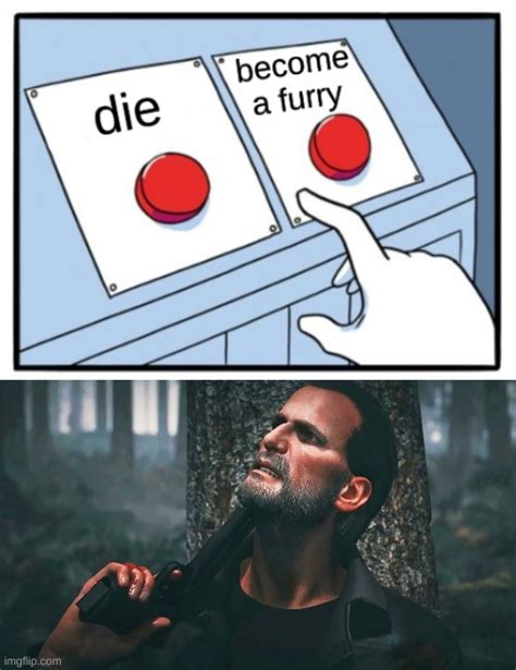 Anti Furry Meme Imgflip