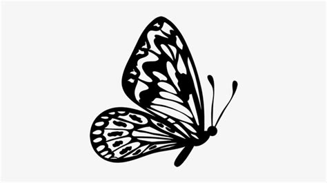 Butterfly Outline Clip Art Library