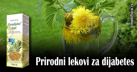 Prirodni Lekovi Za Dijabetes Mediflora