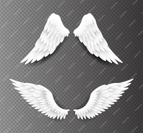 Premium Vector Pair Of Beautiful White Angel Wings Isolated On