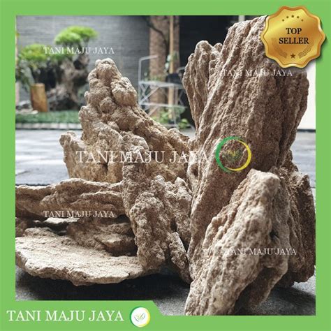 Jual Batu Pasir Fosil Sand Stone Dekorasi Hardscape Aquascape