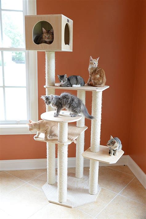 Cool Cat Tree Ideas Cats Care Health And Cat Care