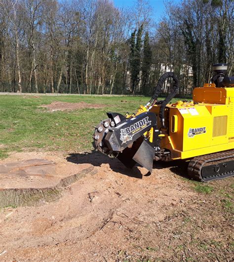 Dessouchage D Arbres Jouy Le Moutier Dans Le Val D Oise 95