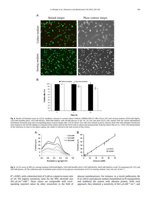 Pdf Non Invasive Measurement Of Glucose Uptake Of Skeletal Muscle