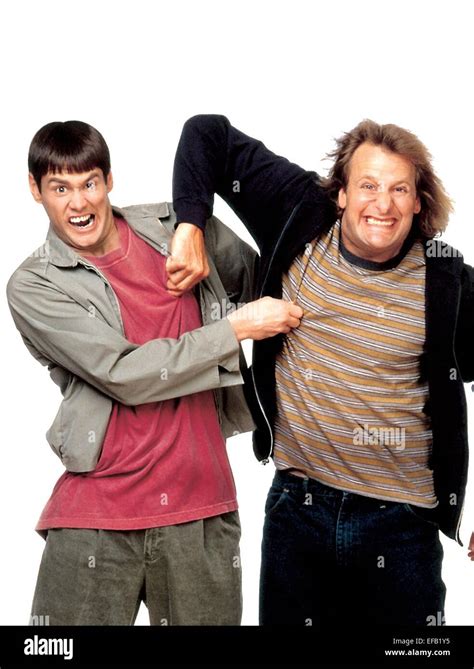 JIM CARREY & JEFF DANIELS DUMB & DUMBER (1994 Stock Photo: 78304329 - Alamy