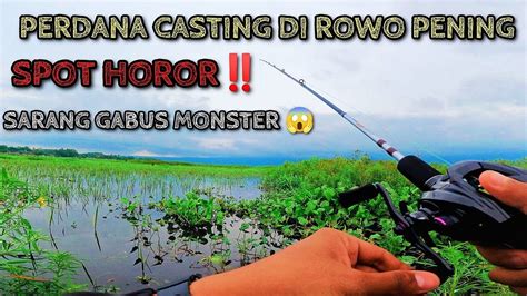 PERDANA CASTING DI ROWO PENING SPOT INDAH SARANG GABUS MONSTER