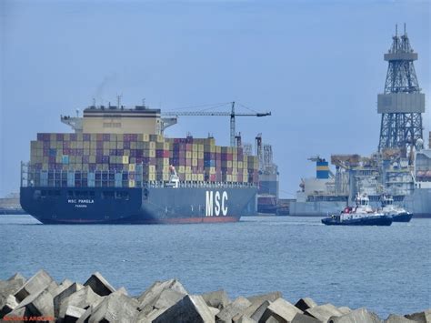 MSC Controla El 20 De La Flota Mundial De Buques Portacontenedores