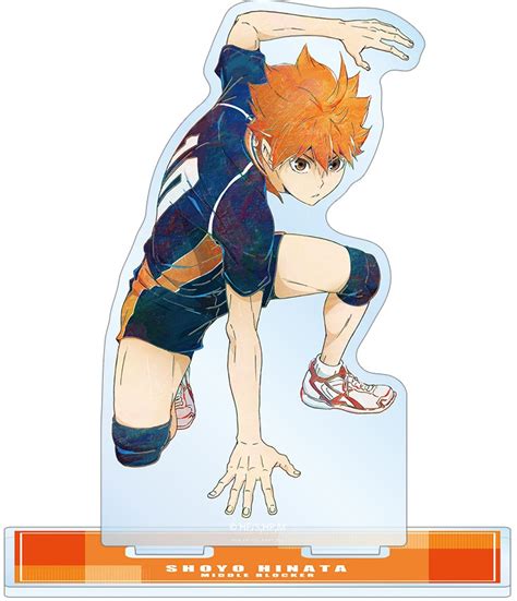 Haikyu Shoyo Hinata Ani Art Vol Big Acrylic Stand Hlj