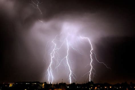 Oak Tree Struck By Lightning What Happens How To Save It Tree Journey