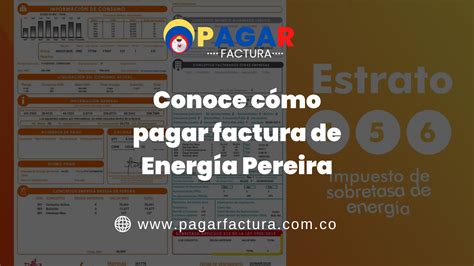 Conoce cómo pagar factura de Energía Pereira