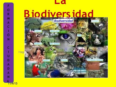 Calaméo La Biodiversidad