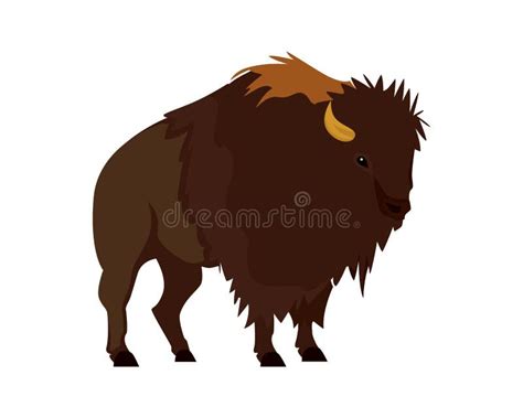 Bison Stock Illustrations 18664 Bison Stock Illustrations Vectors