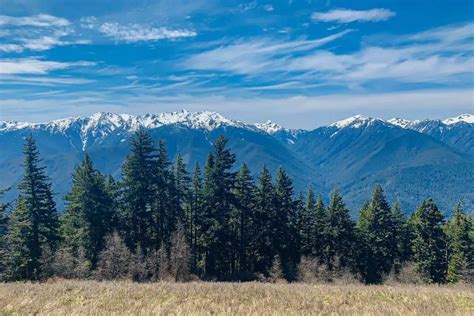 14 Boondocking Olympic National Park In 2024