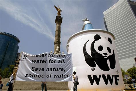 World Wildlife Fund Wwf Taking A Stand On Global Sustainable Finance