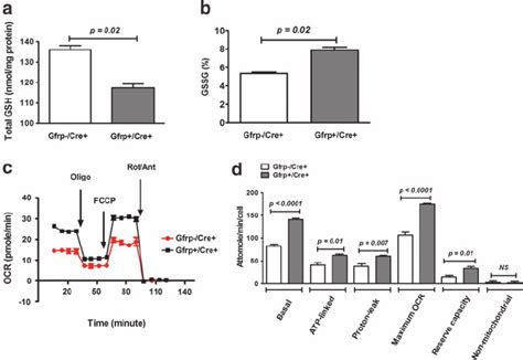 Estimation Of Blood Glutathione Gsh Level And Mitochondrial