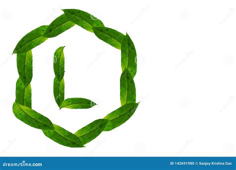 Nature Concept Alphabet Of Green Leaves Logo L With Hexagon Shape