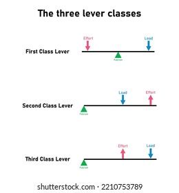 Three Lever Classes Simple Machines Classes Stock Vector (Royalty Free) 2210753789 | Shutterstock