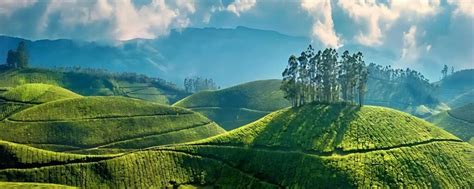 top  places  visit  munnar  nature lovers