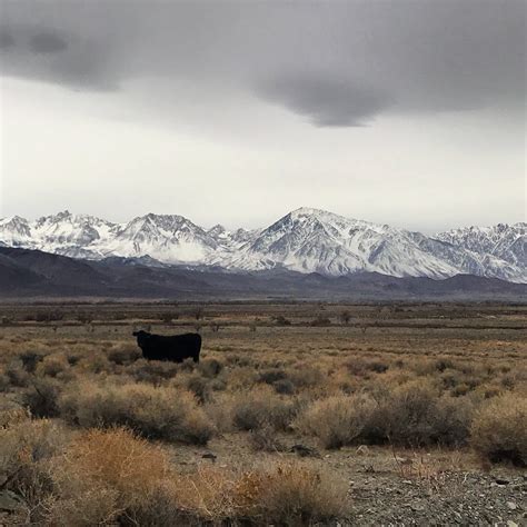 eastern sierra land eastern sierra