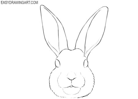 How to Draw a Bunny Face - Easy Drawing Art