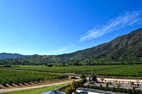 Viña Montes A Memorable Colchagua Valley Wine Tour 2025 Guide