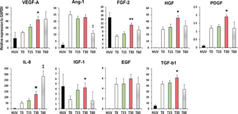 Angiogenic Gene Expression Profile The Cells Were Harvested Directly