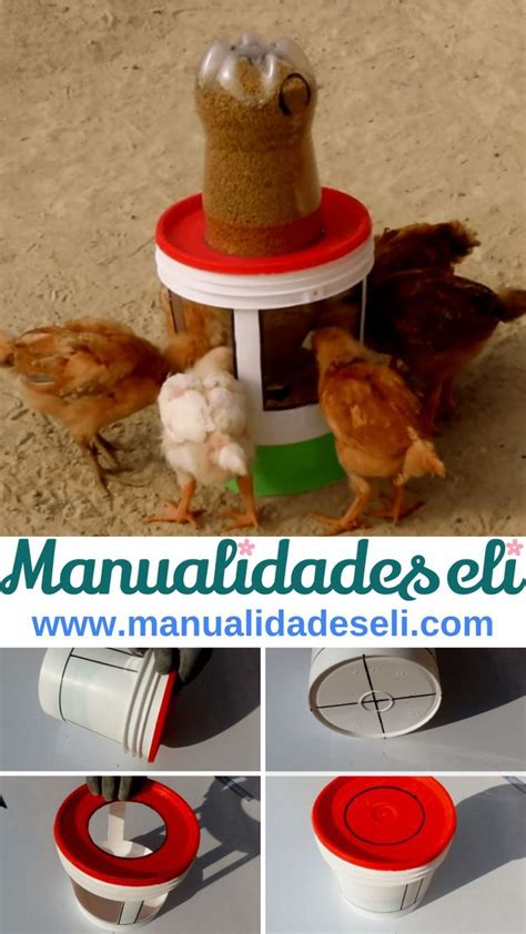 Aprende C Mo Hacer Un Bebedero Y Comedero De Pollos Hecho Con Reciclaje