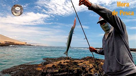 Mira Como Se Pesca Grandes Pejerreyes Con Se Uelo Pejerrey Fishing