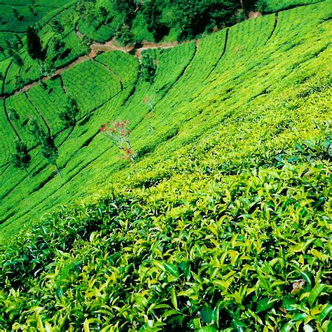 jawa barat dsl travel