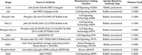 Primary and secondary antibodies used for Western blot experiments ...