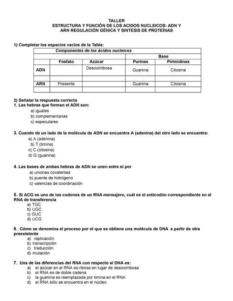 Taller Estructura Y Funcion De Los Acidos Nucleicos Adn Y Arn Taller