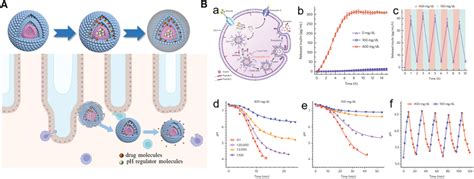 A Illustration Of Microenvironment Ph‐responsive Drug Release By Download Scientific Diagram