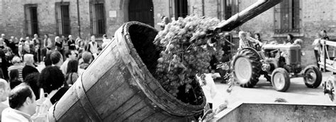 Sagra Del Vino Tipico Romagnolo Pro Loco Cotignola