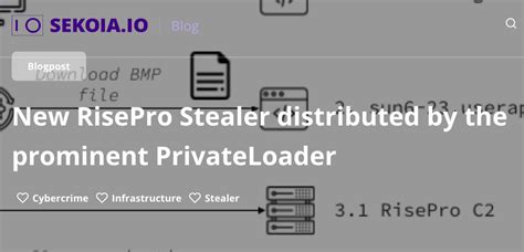 PrivateLoader という PPI サービス情報窃取型マルウェア RisePro を配布 IoT OT Security News